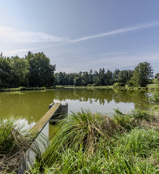 Altweiher bei Pommertsweiler | © Hohenlohe + Schwäbisch Hall Tourismus e. V.