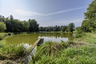 Altweiher bei Pommertsweiler | © Hohenlohe + Schwäbisch Hall Tourismus e. V.