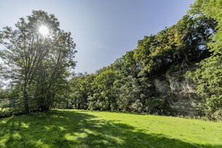 Bühlertalwanderweg (BTW)