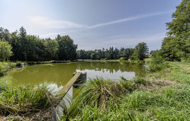 Altweiher umgeben von grünen Bäumen | © Hohenlohe + Schwäbisch Hall Tourismus e. V.