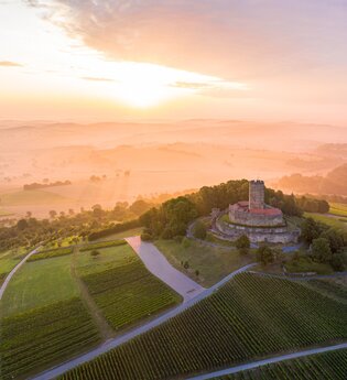 Burg Steinsberg Familientour | © Stadt Sinsheim