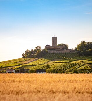 Fernsicht auf die Burg Steinsberg umgeben von Weinbergen und Bäumen | © Stadt Sinsheim