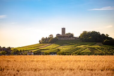 Fernsicht auf die Burg Steinsberg umgeben von Weinbergen und Bäumen | © Stadt Sinsheim