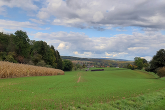 BurgenREICH Kraichgau Radrunde rund um Neckarbischofsheim | © Landratsamt Rhein-Neckar-Kreis