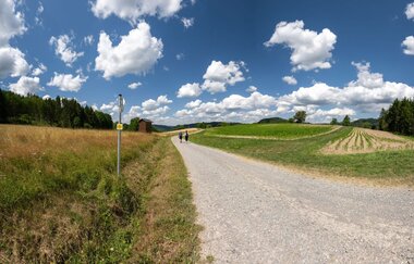 Zwei Personen gehen auf einem Weg durch ein Feld mit grünen Pflanzen und einem blauen Himmel mit weißen Wolken.
