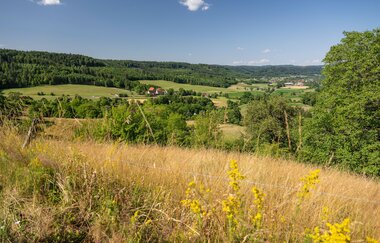 Ausblick von der Schanze auf große Wiesen und Hügel.