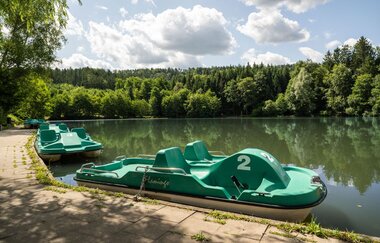 Zu sehen ist der Fornsbacher Waldsee  und zwei grüne Tretboote.