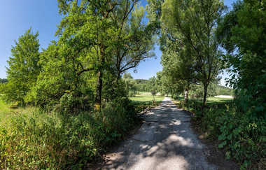 Bild zeigt einen Wanderweg, der über eine Brücke führt.