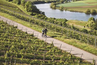 bwegt-Wanderweg: "Neckarblick" Lauffen - Kirchheim | © TG HeilbronnerLand | Stefan Leitner