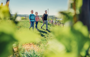 Württembergischer Weinwanderweg am Krappenfelsen | Lauffen am Neckar | HeilbronnerLand | © Touristikgemeinschaft HeilbronnerLand