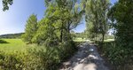 Wegweiser Bild