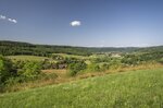 Wegweiser Bild