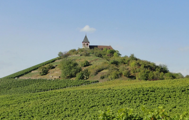 CB1 Wanderdreiklang Cleebronn | Wanderdreiklang | Blick auf den Michaelsberg mit Michaelskirche | © Neckar-Zaber-Tourismus e.V.
