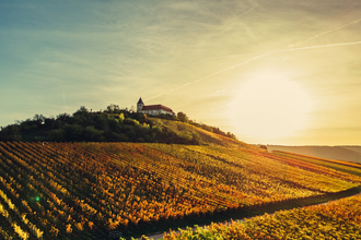 Michaelsberg im herbstlichen Sonnenlicht | © Touristikgemeinschaft HeilbronnerLand e.V.