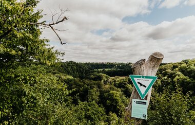 Zu sehen ist das Schild "Naturschutzgebiet", welches an einem Baustamm hängt, im Hintergrund ist Wald zu sehen.