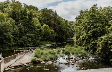 Zu sehen ist ein grün bewachsenes Wehr und ein Fluss.