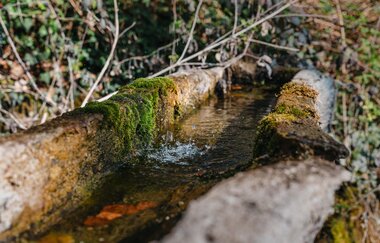 Ein mit Wasser gefüllter Brunnen im Wald | © Stadtverwaltung Crailsheim