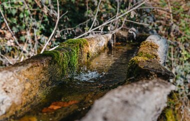 Ein mit Wasser gefüllter Brunnen im Wald | © Stadtverwaltung Crailsheim