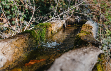 Ein mit Wasser gefüllter Brunnen im Wald | © Stadtverwaltung Crailsheim
