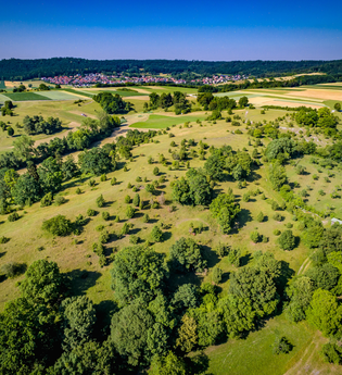 Crailsheimer Horaffenweg 3 – Durch die Wacholderheide | © Patrick Ortner | Stadtverwaltung Crailsheim