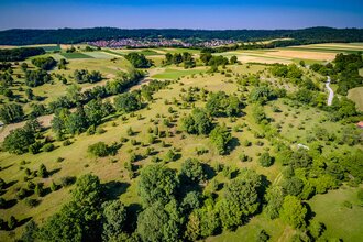 Crailsheimer Horaffenweg 3 – Durch die Wacholderheide | © Patrick Ortner | Stadtverwaltung Crailsheim