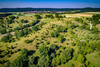 Crailsheimer Horaffenweg 3 – Durch die Wacholderheide | © Patrick Ortner | Stadtverwaltung Crailsheim