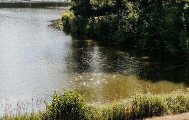 Blick auf das Wasser des Degenbachsees, es glitzert in der Sonne
