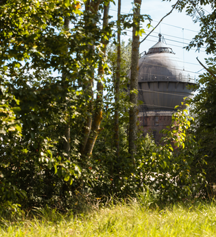 Der Crailsheimer Wasserturm, eines der Wahrzeichen der Stadt, ragt zwischen Bäumen hervor | © Stadtverwaltung Crailsheim