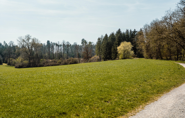 Zu sehen ist eine sonnige Wiese umgeben von grünen Bäumen | © Stadtverwaltung Crailsheim