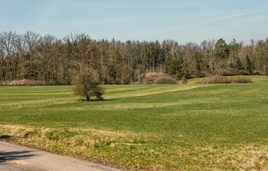 Sonne scheint auf eine Wiese, die von Bäumen umrandet wird | © Stadtverwaltung Crailsheim