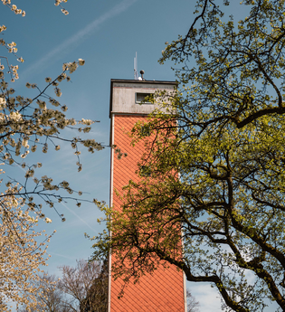 Der Burgbergturm ragt zwischen blühenden Bäumen hervor | © Stadtverwaltung Crailsheim