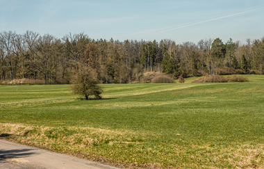 Sonne scheint auf eine Wiese, die von Bäumen umrandet wird | © Stadtverwaltung Crailsheim