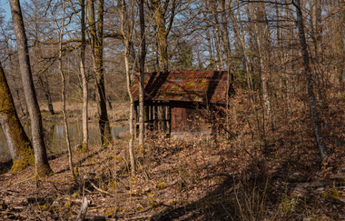 Eine Hütte im Wald
