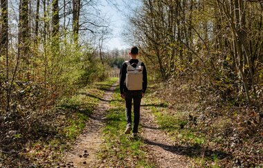 Ein Mann wandert durch den Wald | © Stadtverwaltung Crailsheim