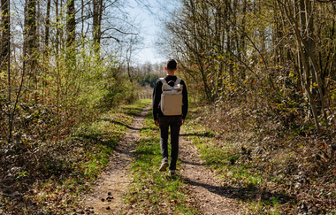 Ein Mann wandert durch den Wald | © Stadtverwaltung Crailsheim