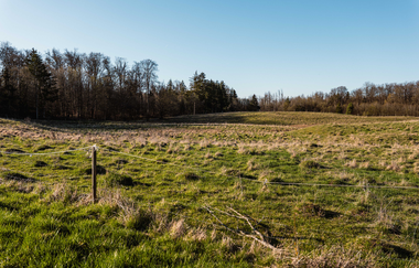 Weidekoppel am Waldrand | © Stadtverwaltung Crailsheim