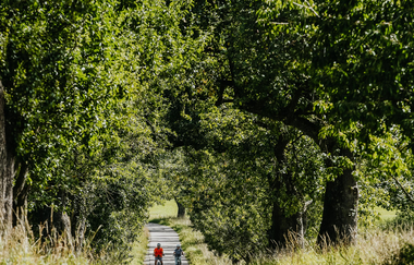 Zwei Radfahrer fahren auf einem Radweg inmitten der Natur | © Stadtverwaltung Crailsheim