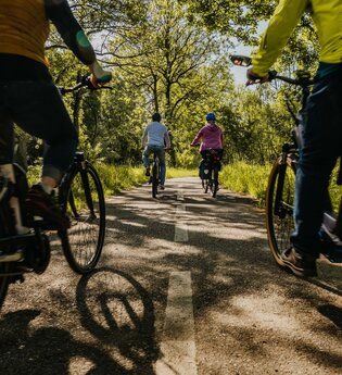 Eine Gruppe von vier Radfahrern fahren auf einem Radweg, der umsäumt ist von Wiese und Wald
