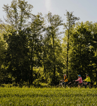 Eine Gruppe von vier Radfahrern fährt am Waldrand entlang | © Stadtverwaltung Crailsheim