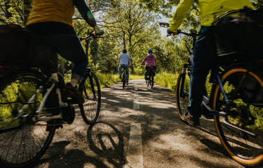 Eine Gruppe von vier Radfahrern fahren auf einem Radweg, der umsäumt ist von Wiese und Wald | © Stadtverwaltung Crailsheim
