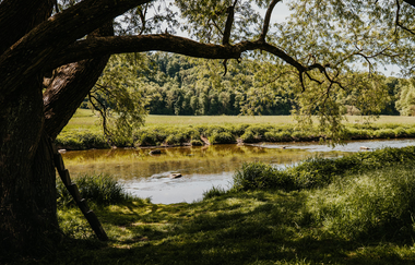 Jagstufer mit Wiese und Bäumen | © Stadtverwaltung Crailsheim