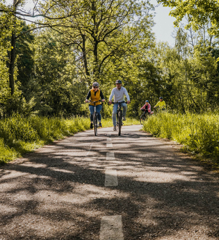 Vier Radfahrer radeln auf einem Radweg, der umgeben ist von Wiese und Bäumen | © Stadtverwaltung Crailsheim
