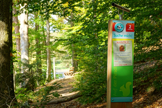 Dachsi NaturErlebnisPfad Station | Finsterrot im HeilbronnerLand | © Tourismus im Weinsberger Tal