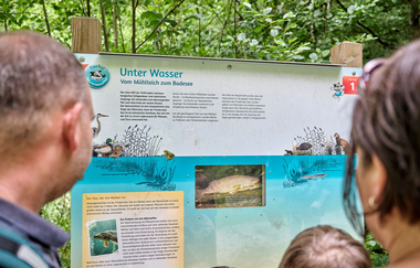 Erlebnisstation am Dachsi NaturErlebnisPfad | Wüstenrot | HeilbronnerLand | © Touristikgemeinschaft HeilbronnerLand