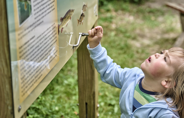 Dachsi NaturErlebnisPfad | Finsterroter See - Wüstenrot | HeilbronnerLand