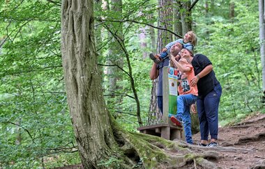 Erlebnisstation am Dachsi NaturErlebnisPfad | Wüstenrot | HeilbronnerLand | © Touristikgemeinschaft HeilbronnerLand