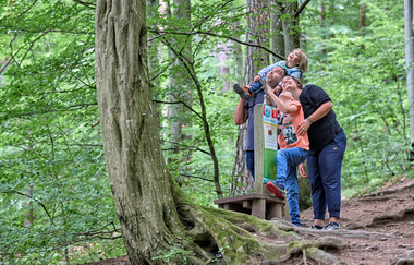 Erlebnisstation am Dachsi NaturErlebnisPfad | Wüstenrot | HeilbronnerLand | © Touristikgemeinschaft HeilbronnerLand