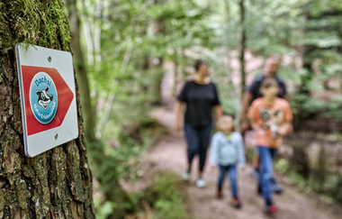 Dachsi NaturErlebnisPfad | Finsterroter See - Wüstenrot | HeilbronnerLand | © Dachsi NaturErlebnisPfad | Finsterroter See - Wüstenrot | HeilbronnerLand
