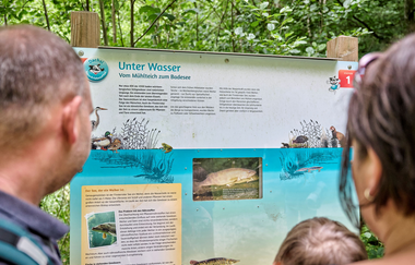 Dachsi NaturErlebnisPfad | Finsterroter See - Wüstenrot | HeilbronnerLand | © Touristikgemeinschaft HeilbronnerLand