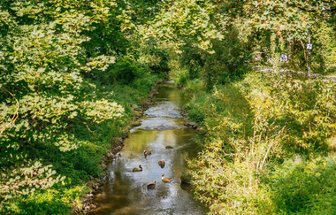 Denk-Mal-Weg am Schleifbach | © Stadt Öhringen